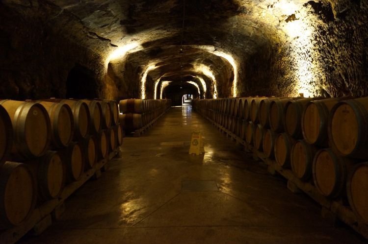 bodega-roda