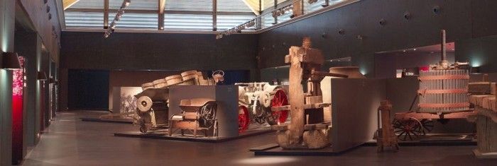museo vivanco