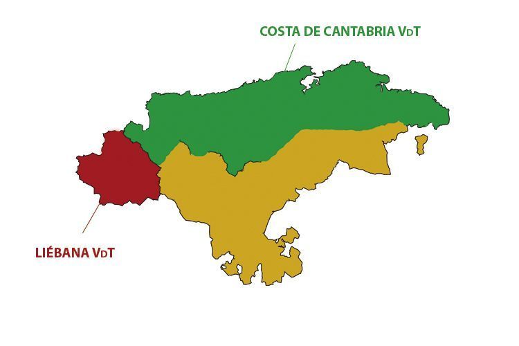 zona-vitivinícola-cantabria